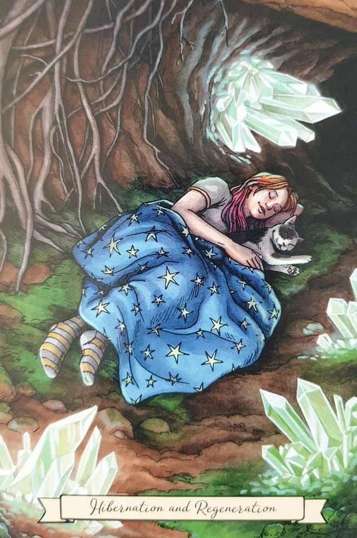 Hibernación y Regeneración — Everyday Witch Oracle
