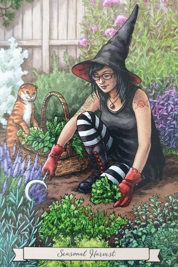 Cosecha Estacional — Everyday Witch Oracle