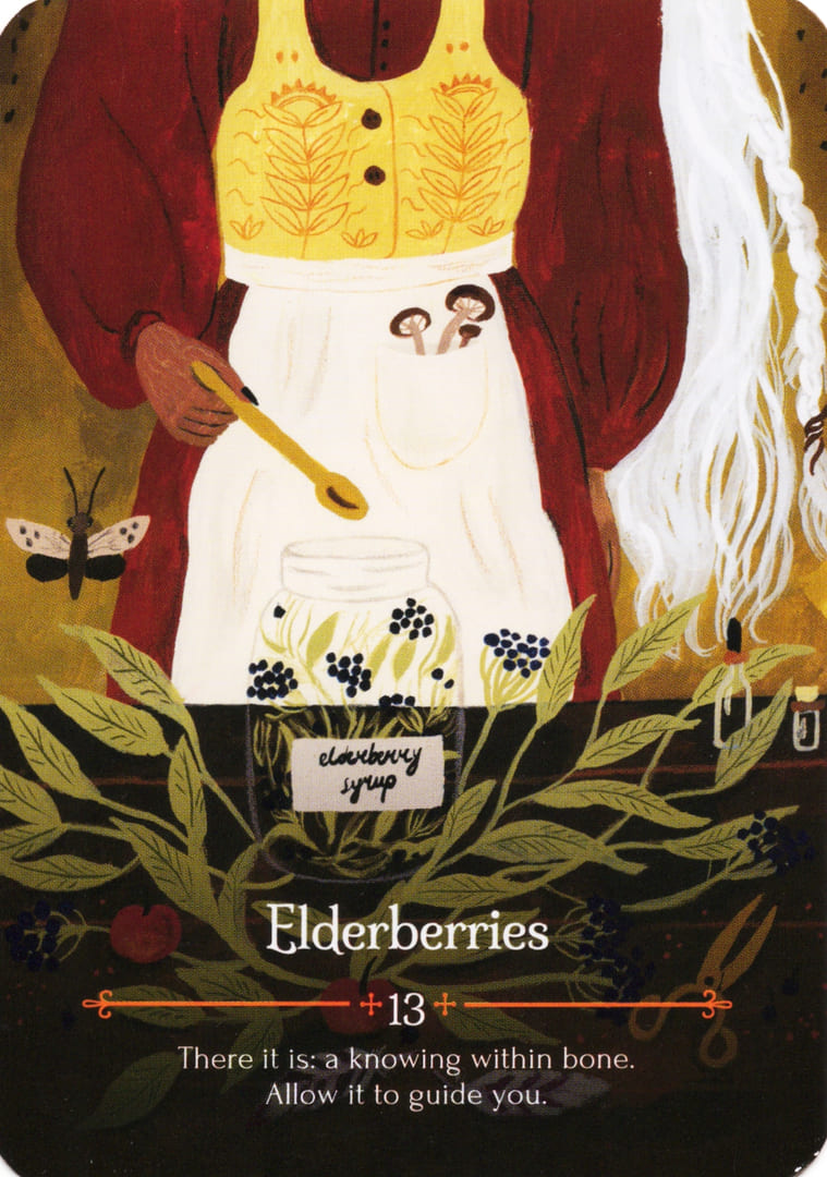 Bayas de Saúco — Oráculo de Mabon