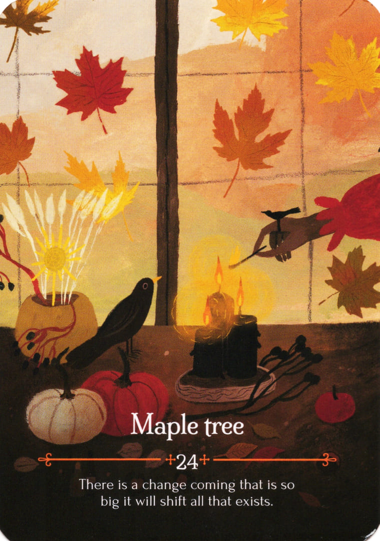 Maple tree — Seasons of the Witch – Mabon Oracle