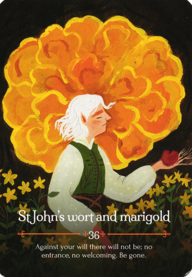 St John's Wort and Marigold — Seasons of the Witch – Mabon Oracle