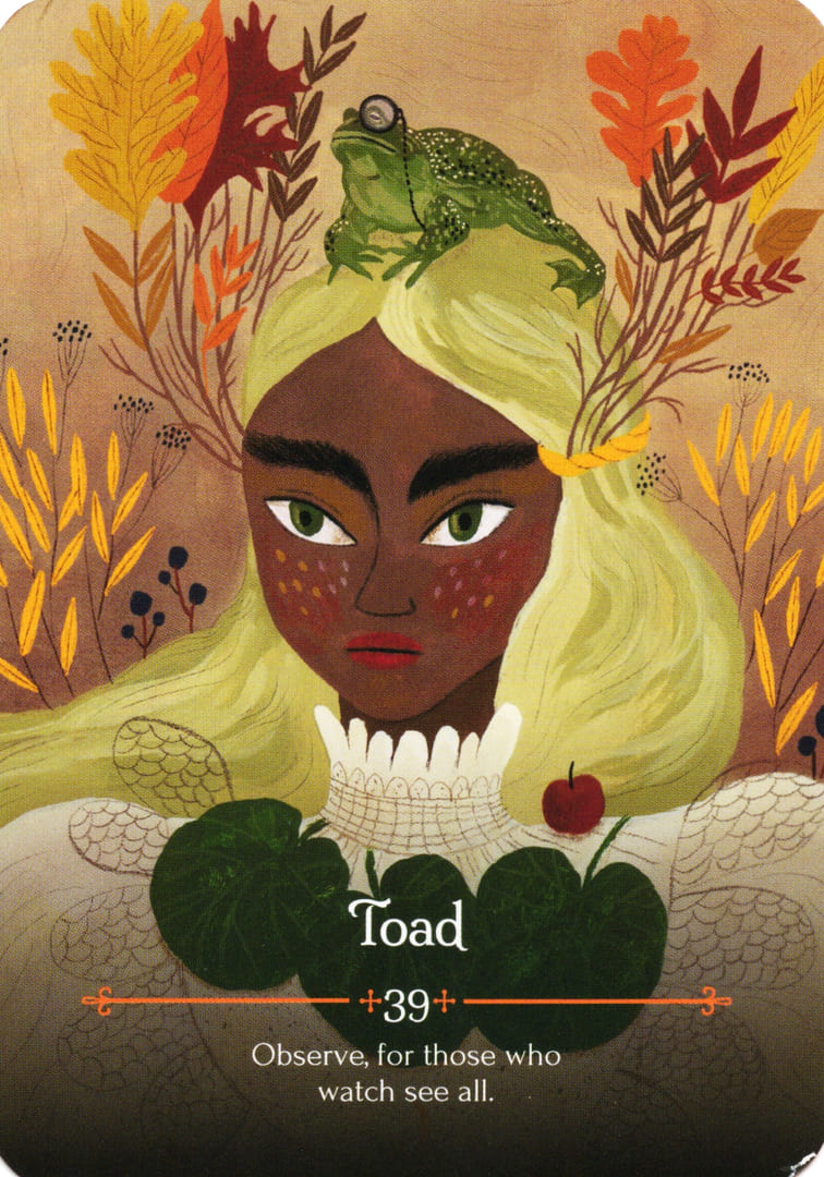 Toad — Seasons of the Witch – Mabon Oracle