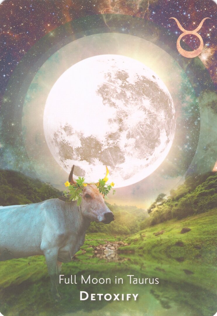 Full Moon in Taurus — Moonology Manifestation Oracle
