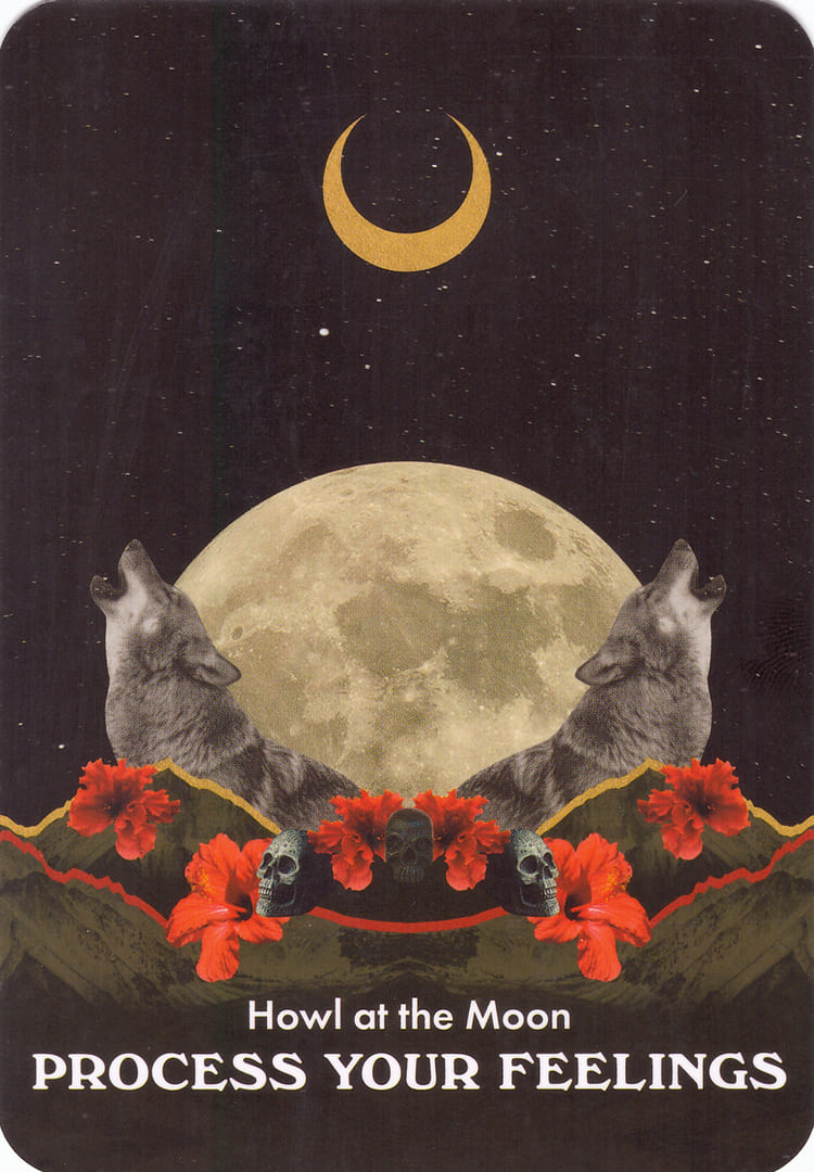 Howl at the Moon — Moonology Messages Oracle