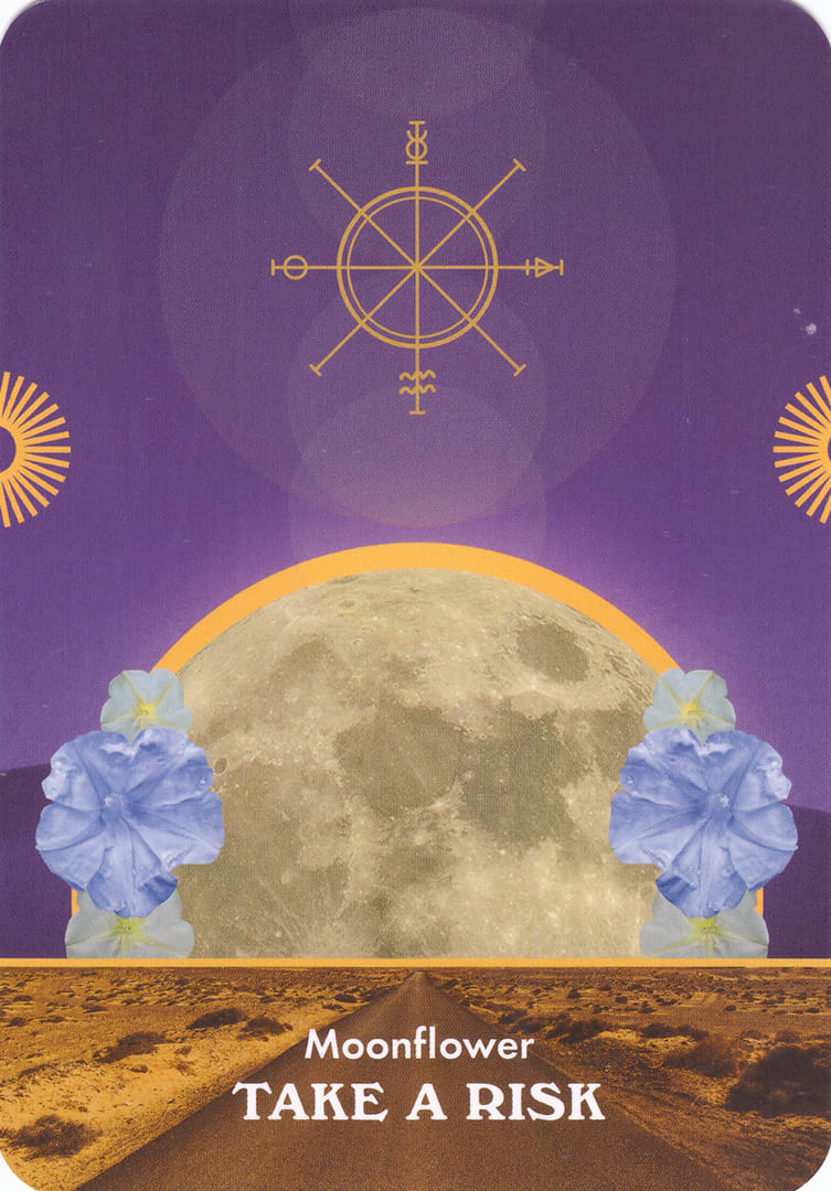 Moonflower — Moonology Messages Oracle