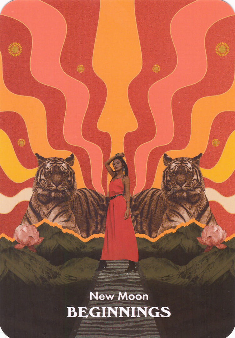 Luna Nueva — Oráculo Mensajes de la Luna