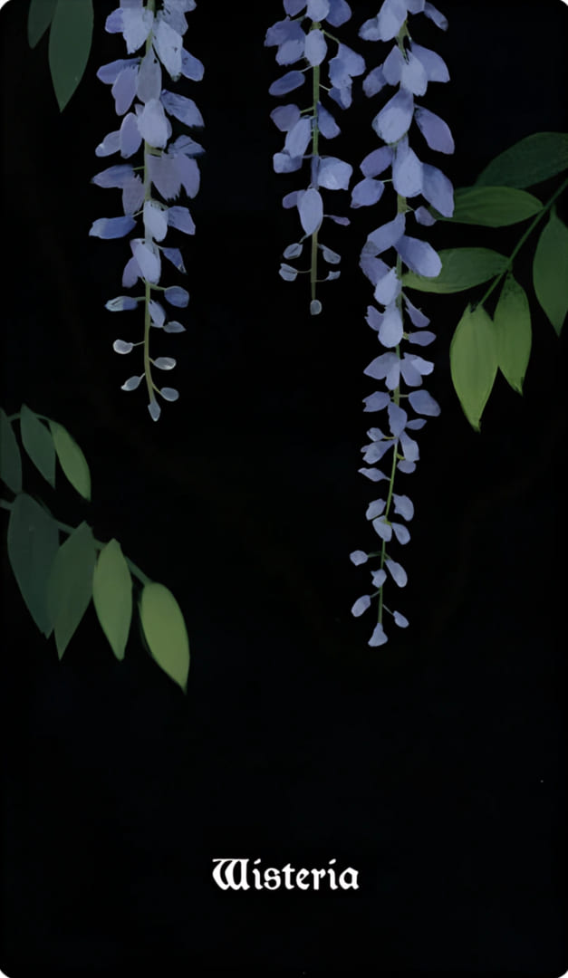 Wisteria — Nocturna Oracle