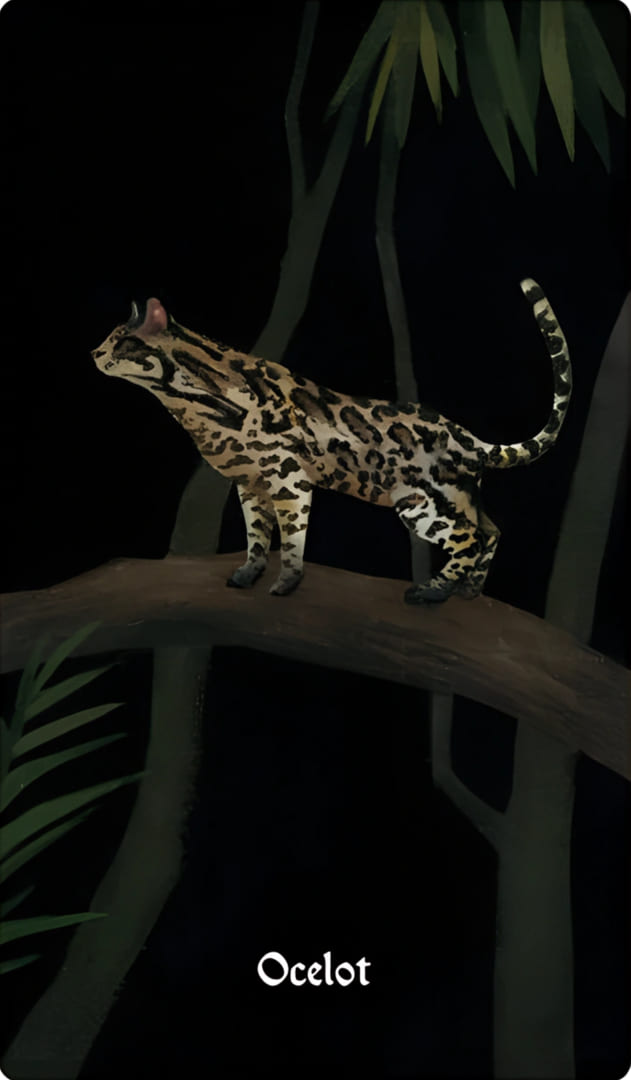 Ocelot — Nocturna Oracle