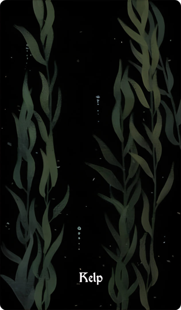 Kelp — Nocturna Oracle