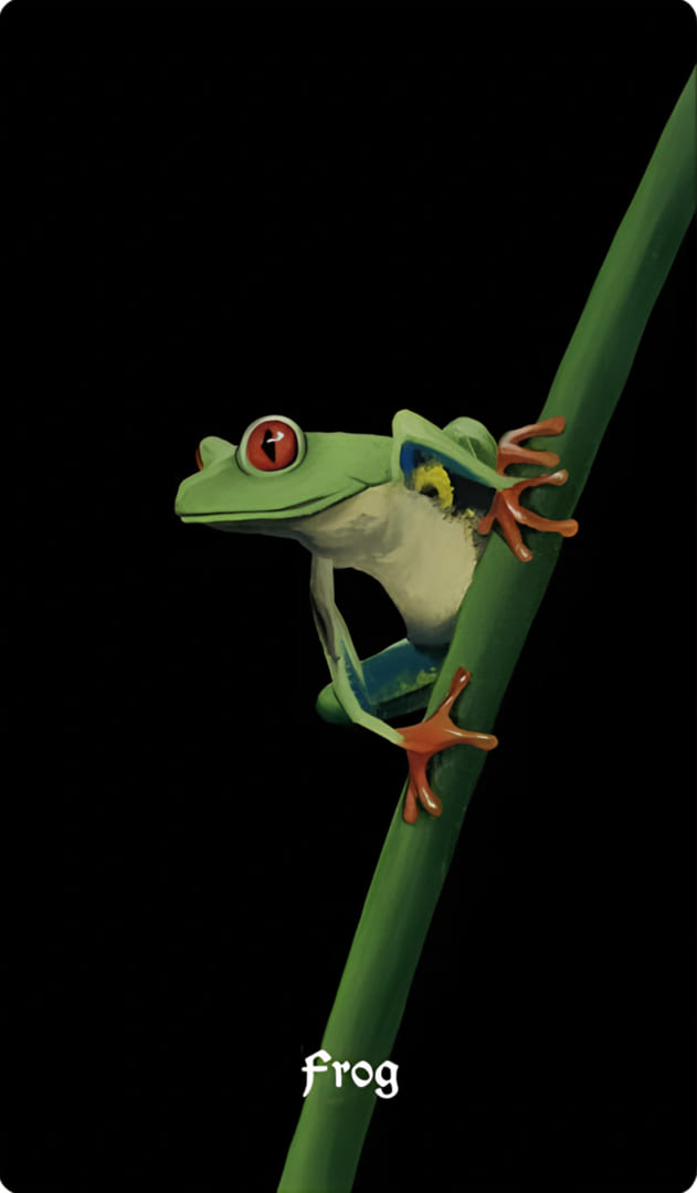 Frog — Nocturna Oracle