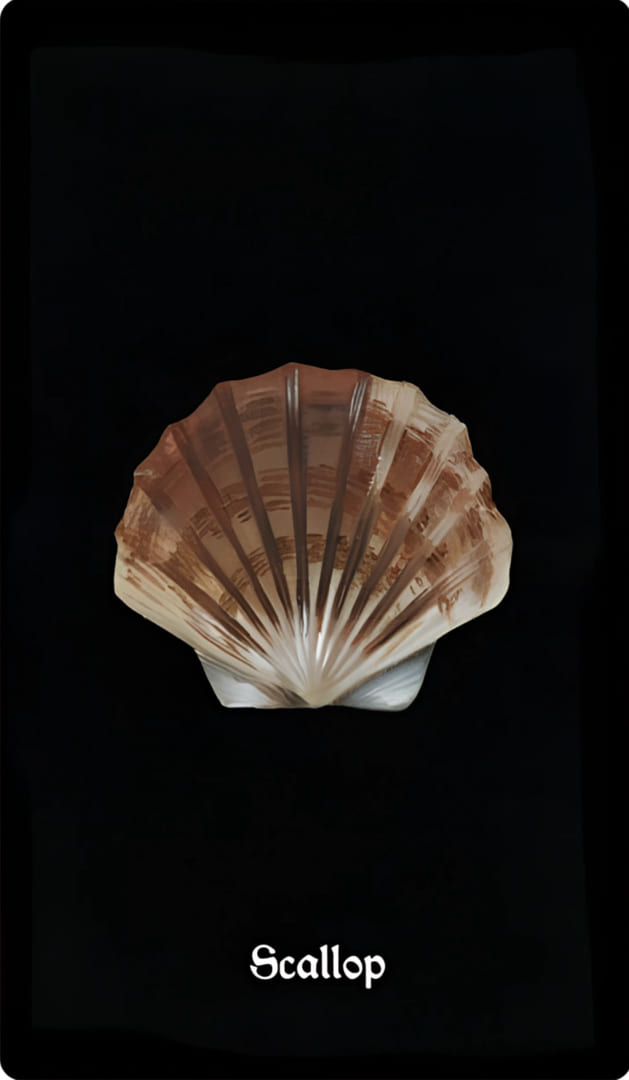 Scallop — Nocturna Oracle
