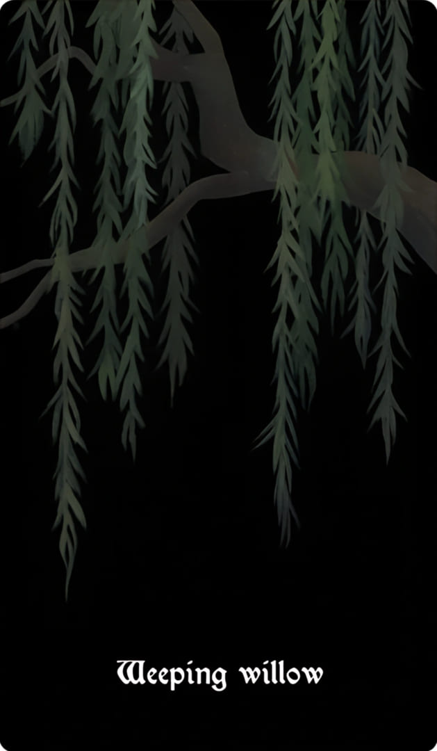 Weeping Willow — Nocturna Oracle