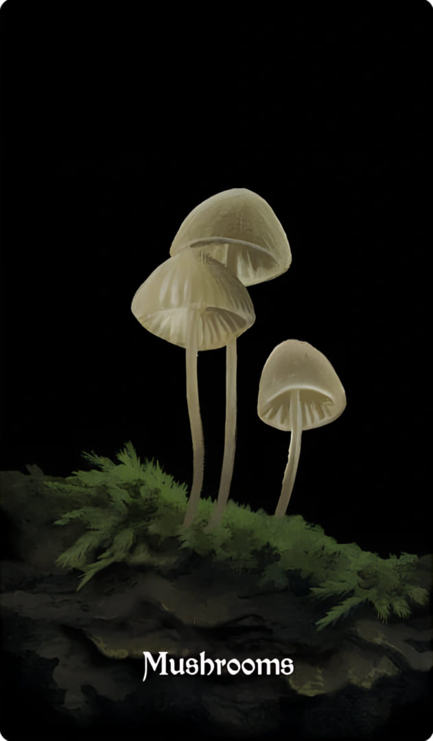 Mushrooms — Nocturna Oracle