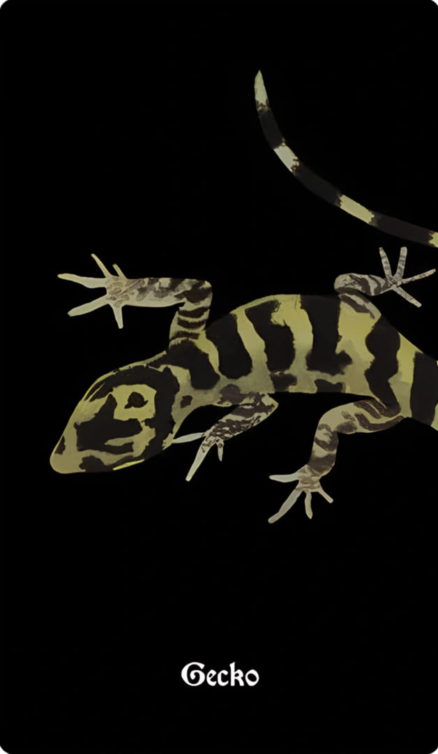 Gecko (Cyrtodactylus baluensis)