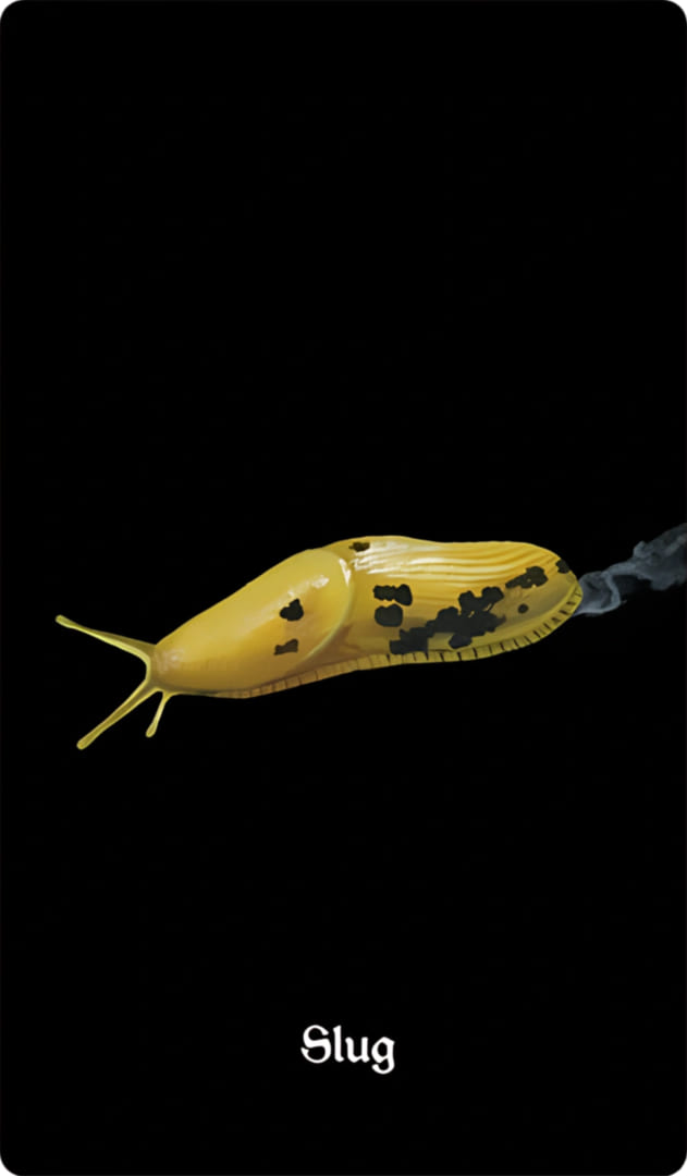 Slug — Nocturna Oracle
