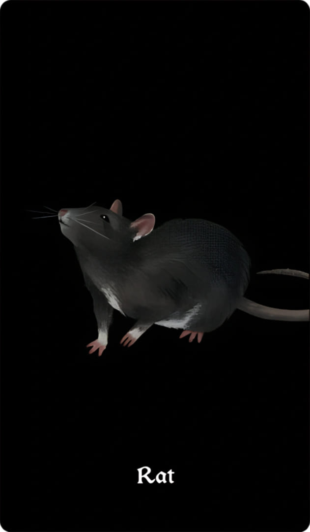 Rat — Nocturna Oracle