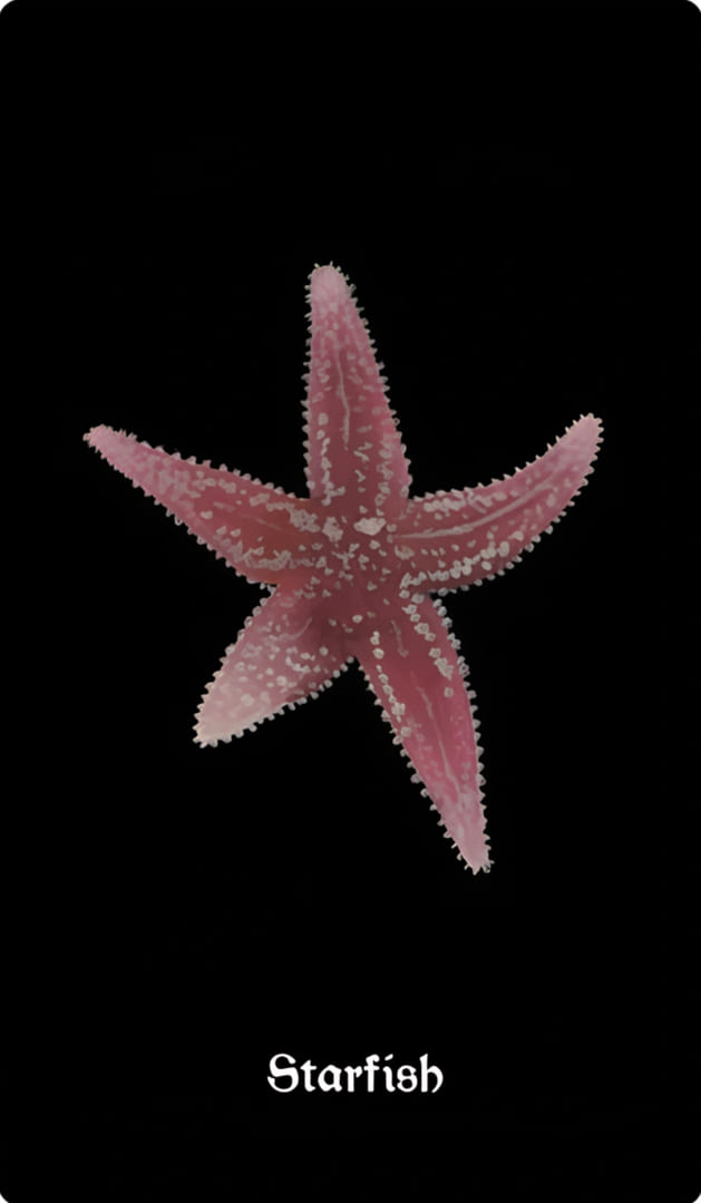 Starfish — Nocturna Oracle