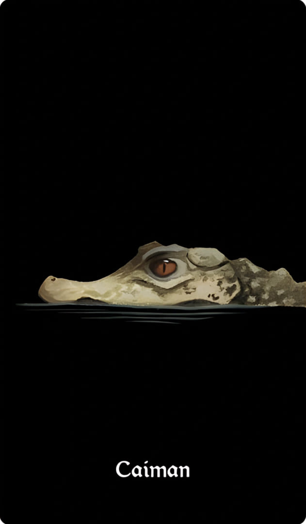Caiman — Nocturna Oracle