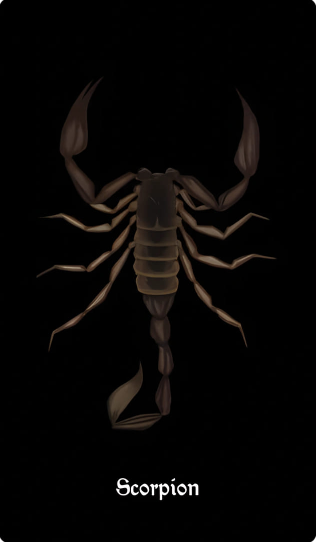 Scorpion (Centruroides sculpturatus)