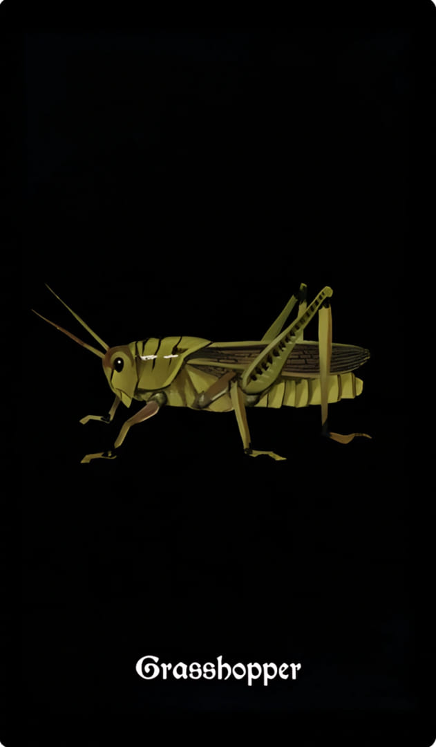 Grasshopper — Nocturna Oracle