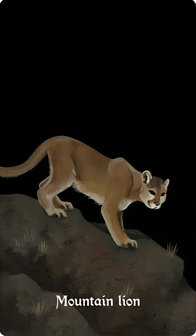 Mountain Lion — Nocturna Oracle