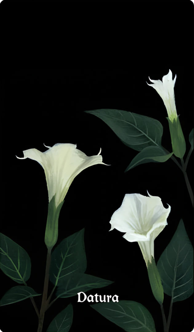 Datura — Nocturna Oracle