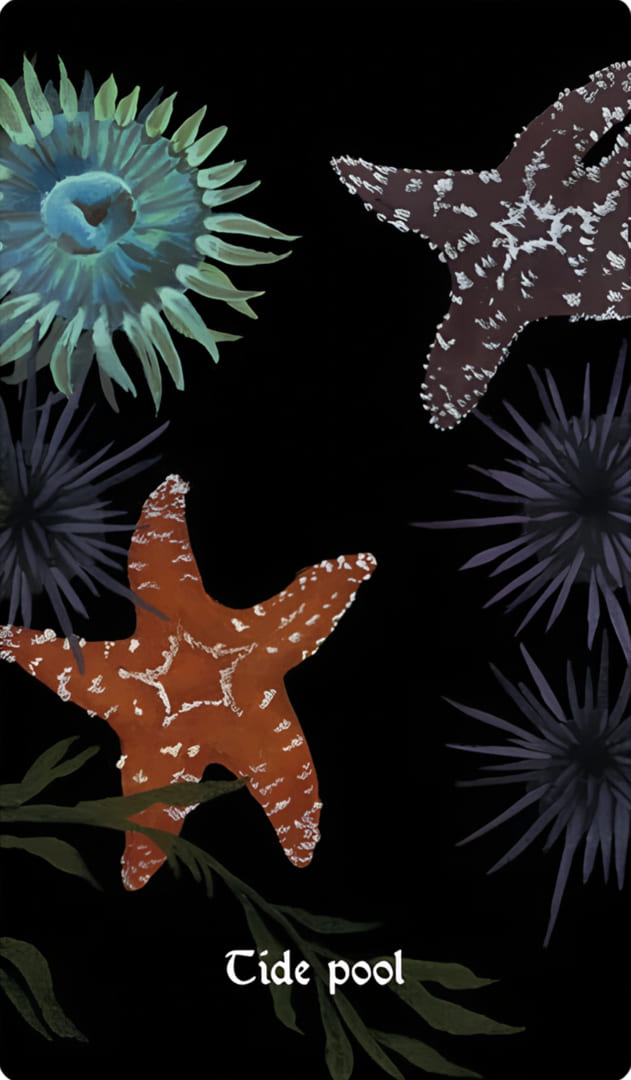 Tide Pool — Nocturna Oracle