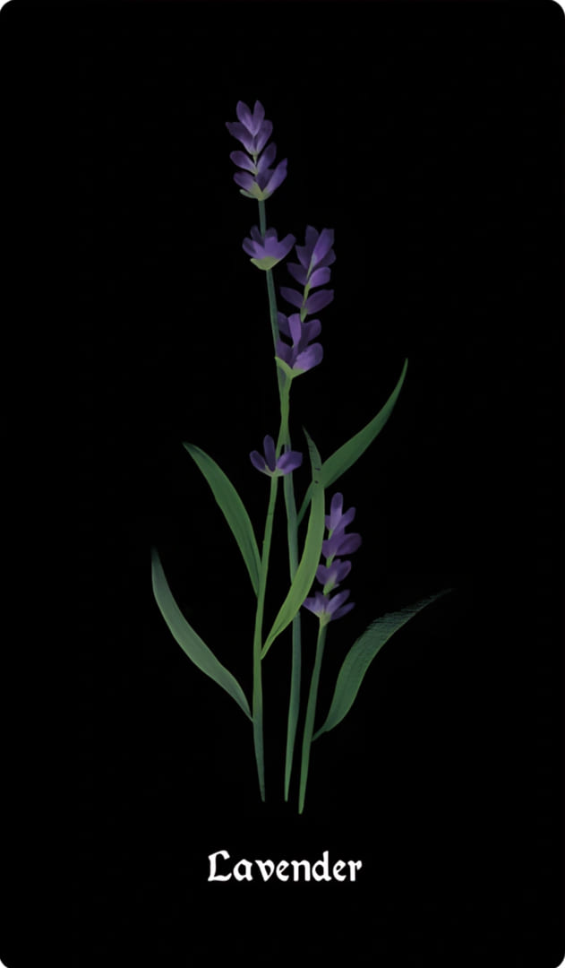 Lavender — Nocturna Oracle