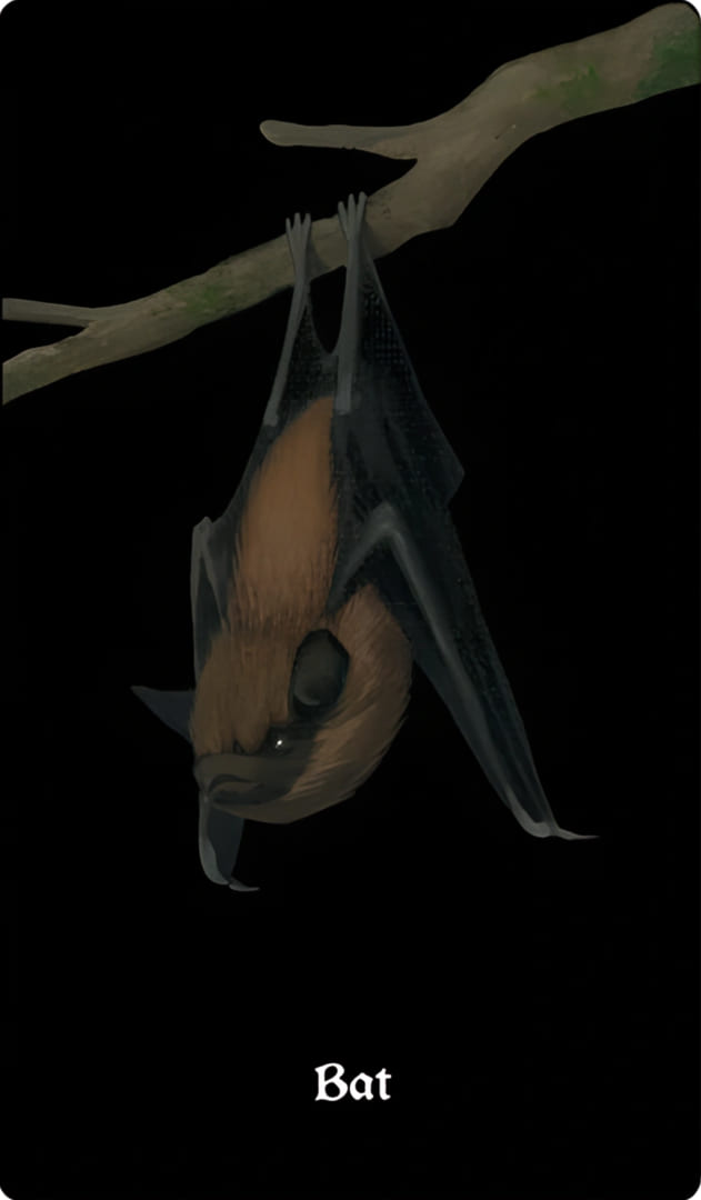 Murciélago — Nocturna Oracle