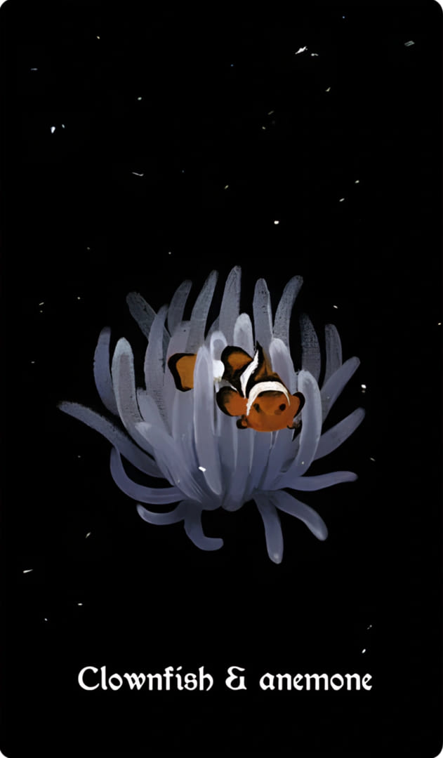 Clownfish & Anemone — Nocturna Oracle