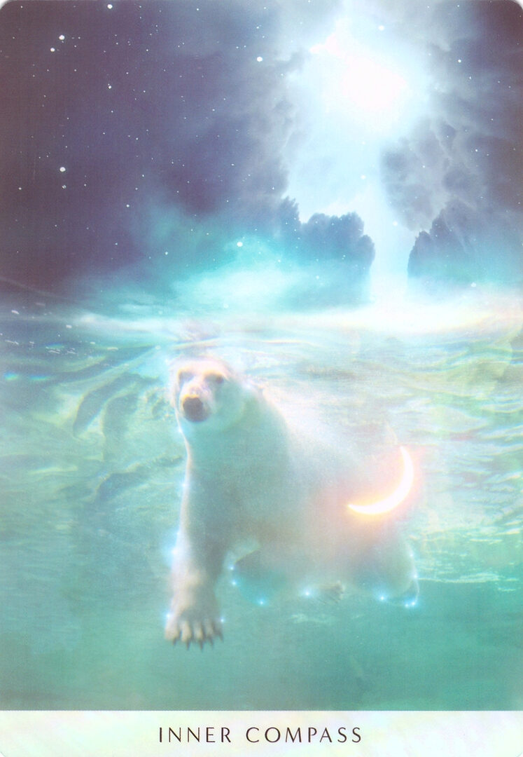 19. INNER COMPASS — Ocean Dreams Oracle
