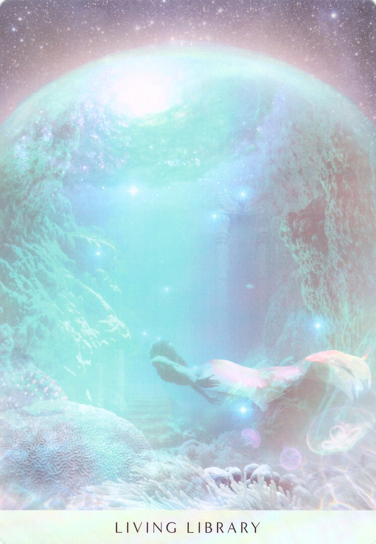 23. LIVING LIBRARY — Ocean Dreams Oracle