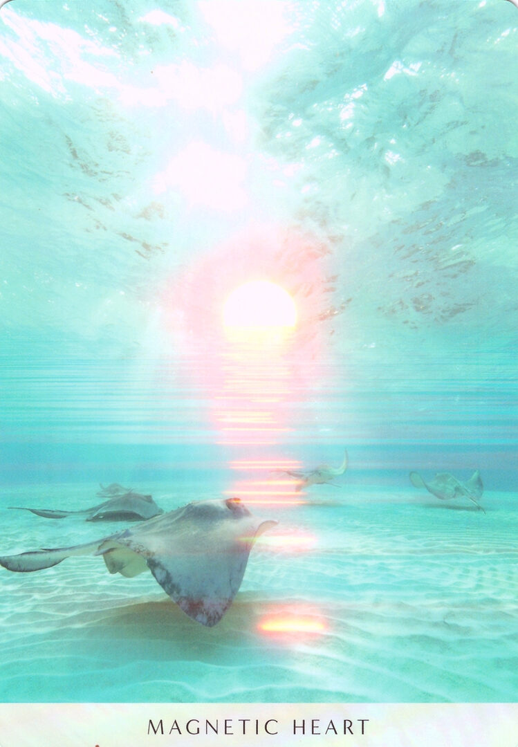 26. MAGNETIC HEART — Ocean Dreams Oracle