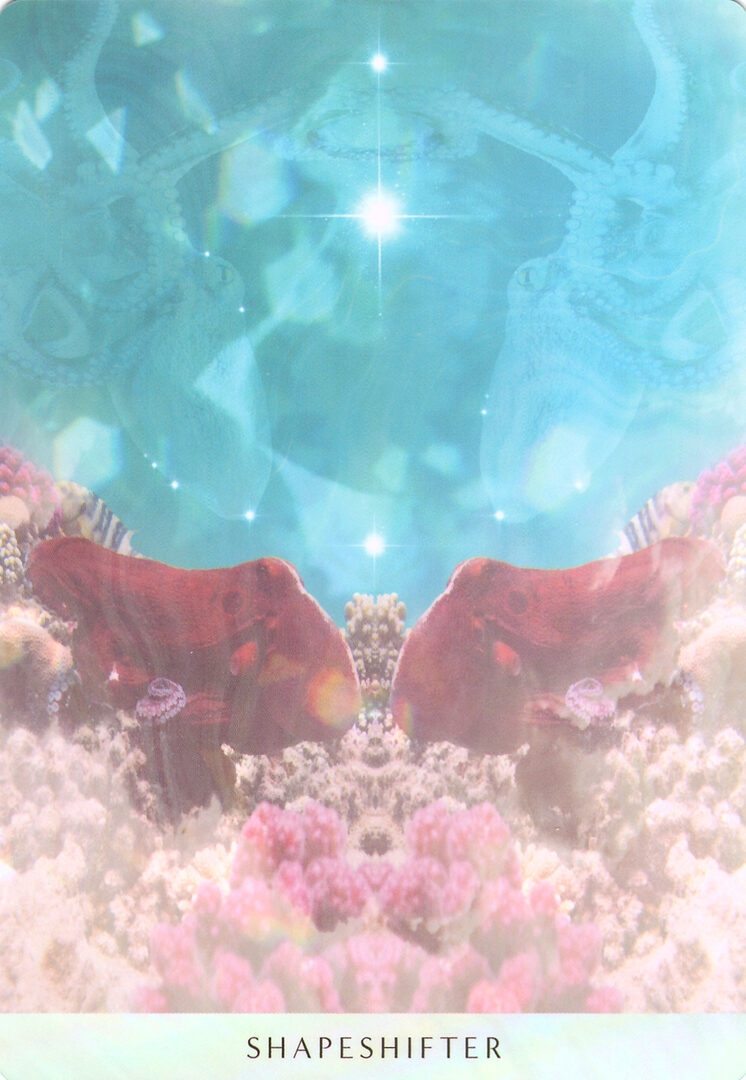 47. SHAPESHIFTER — Ocean Dreams Oracle