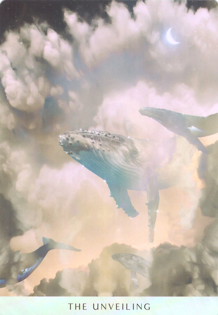 57. THE UNVEILING — Ocean Dreams Oracle