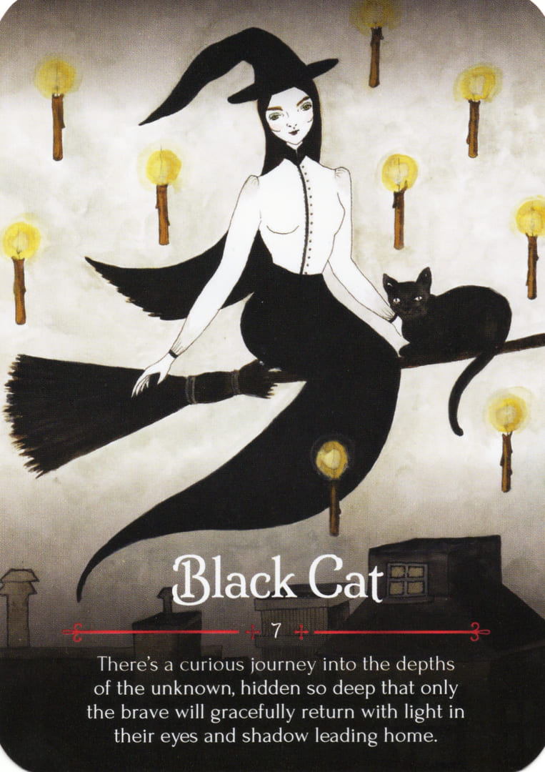 Black Cat — Seasons of the Witch – Samhain Oracle