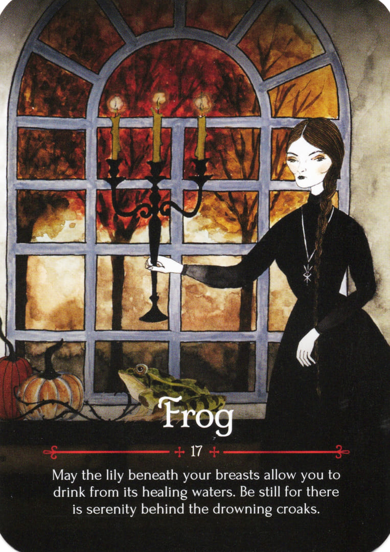 Frog — Seasons of the Witch – Samhain Oracle