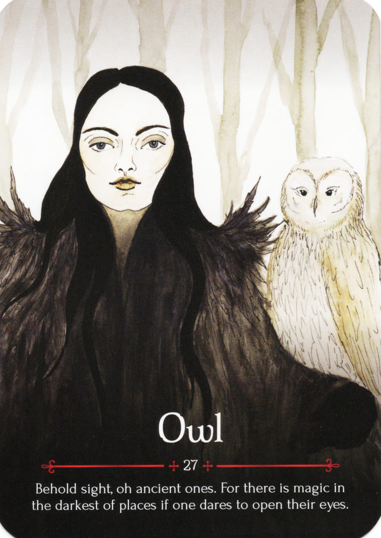 Owl — Seasons of the Witch – Samhain Oracle