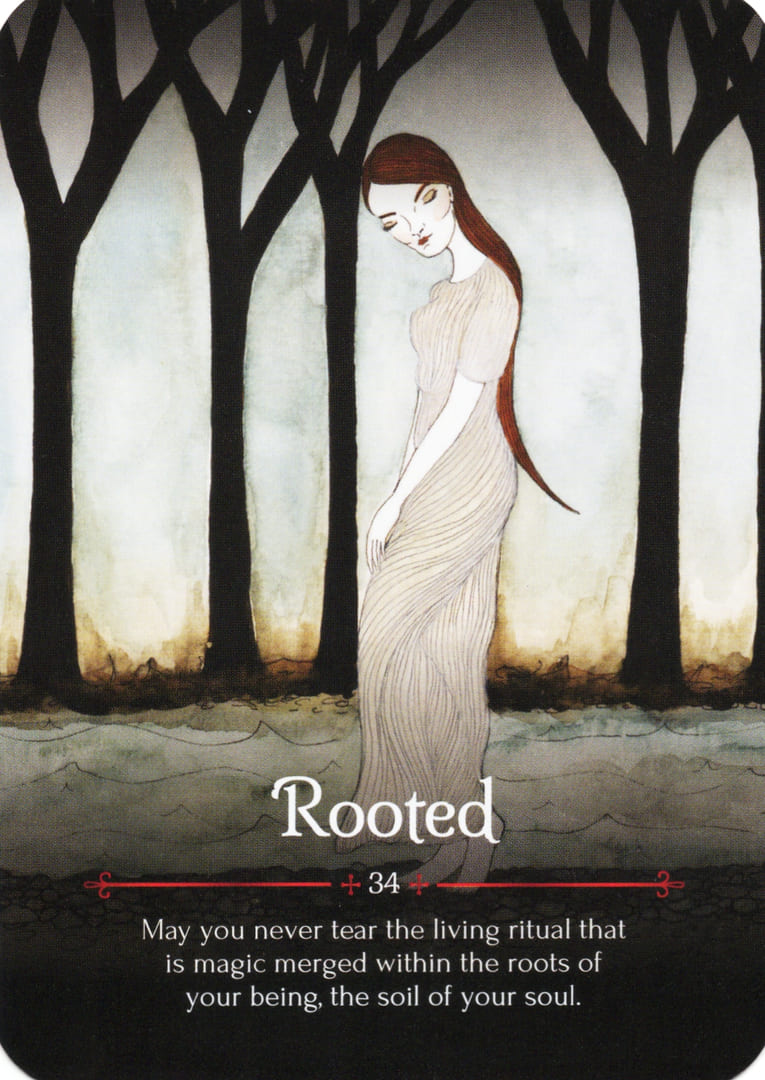 Rooted — Seasons of the Witch – Samhain Oracle