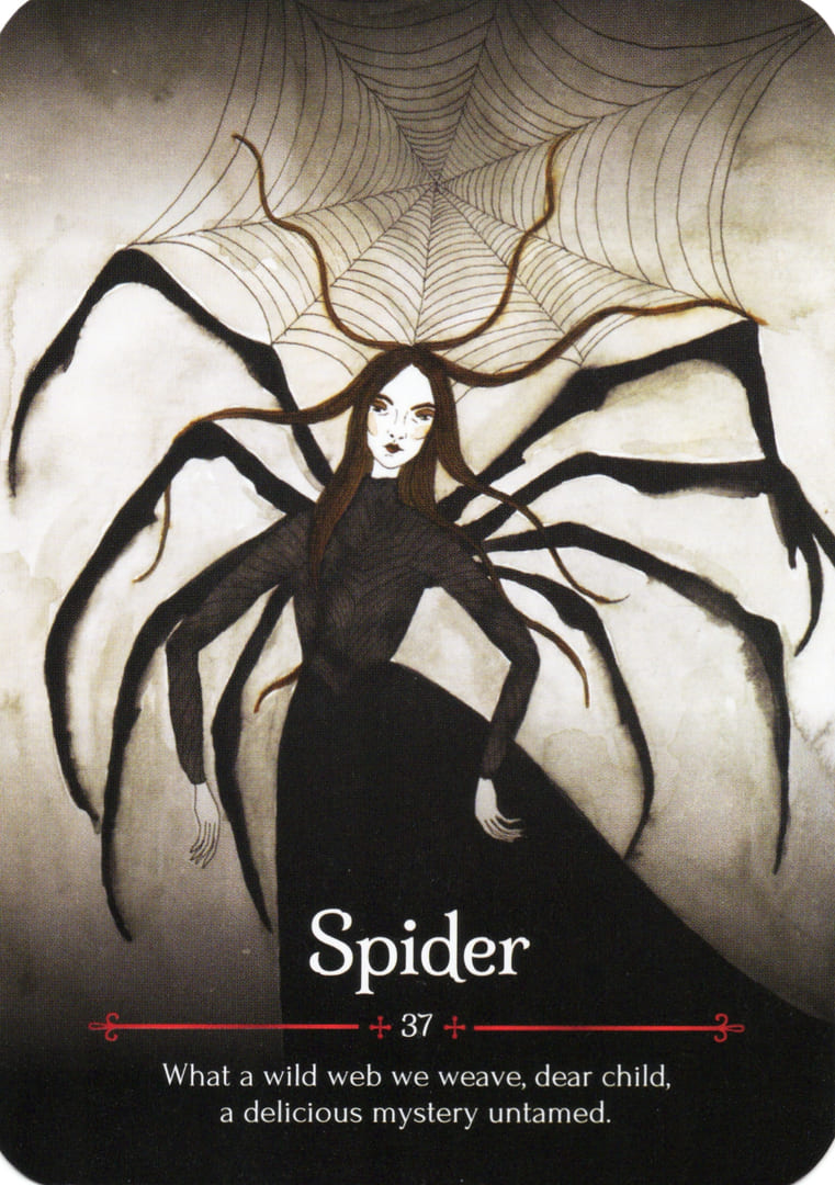 Spider — Seasons of the Witch – Samhain Oracle