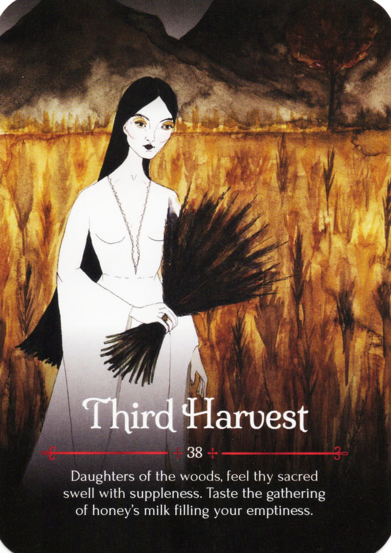 Third Harvest — Seasons of the Witch – Samhain Oracle