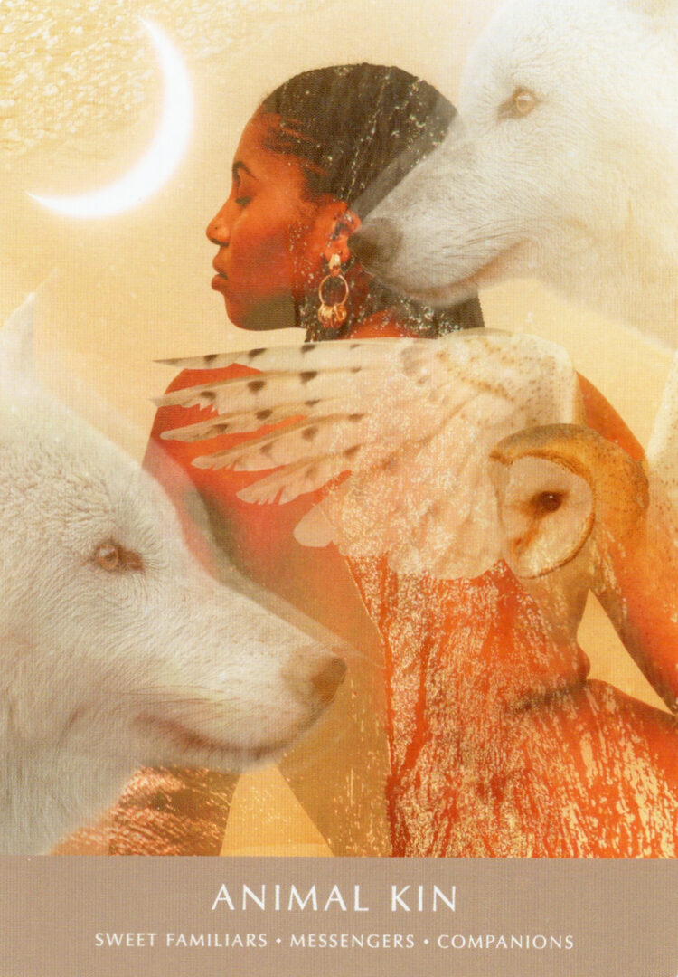 4. Animal Kin — Dreamgate Oracle