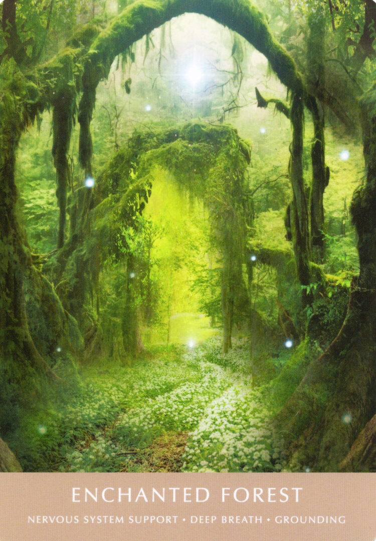 18. Enchanted Forest — Dreamgate Oracle