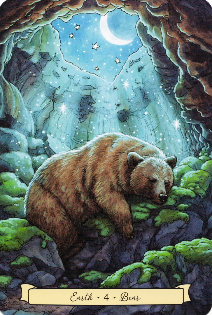 4 Bear (Earth) — Everyday Witch's Familiars Oracle