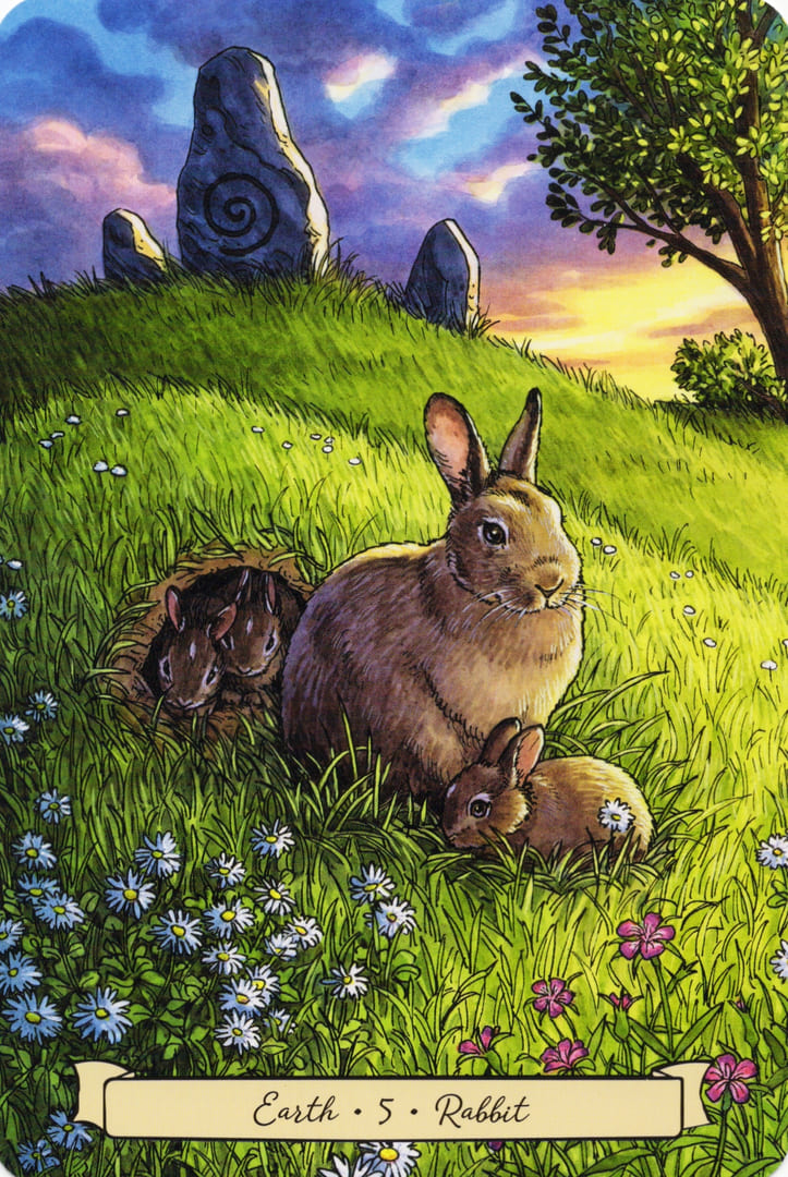 5 Rabbit (Earth) — Everyday Witch's Familiars Oracle