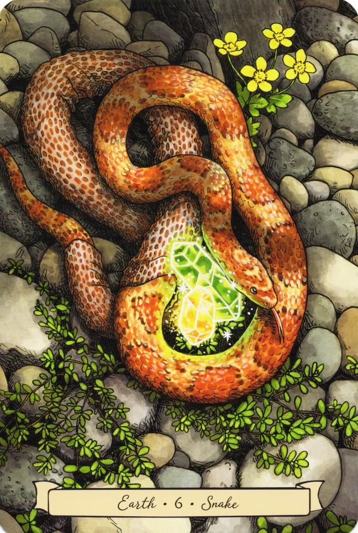 6 Snake (Earth) — Everyday Witch's Familiars Oracle