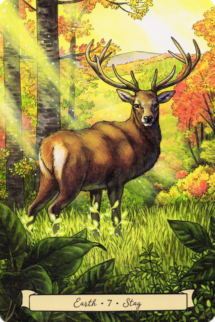 7 Stag (Earth) — Everyday Witch's Familiars Oracle