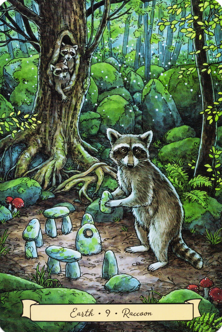 9 Raccoon (Earth) — Everyday Witch's Familiars Oracle