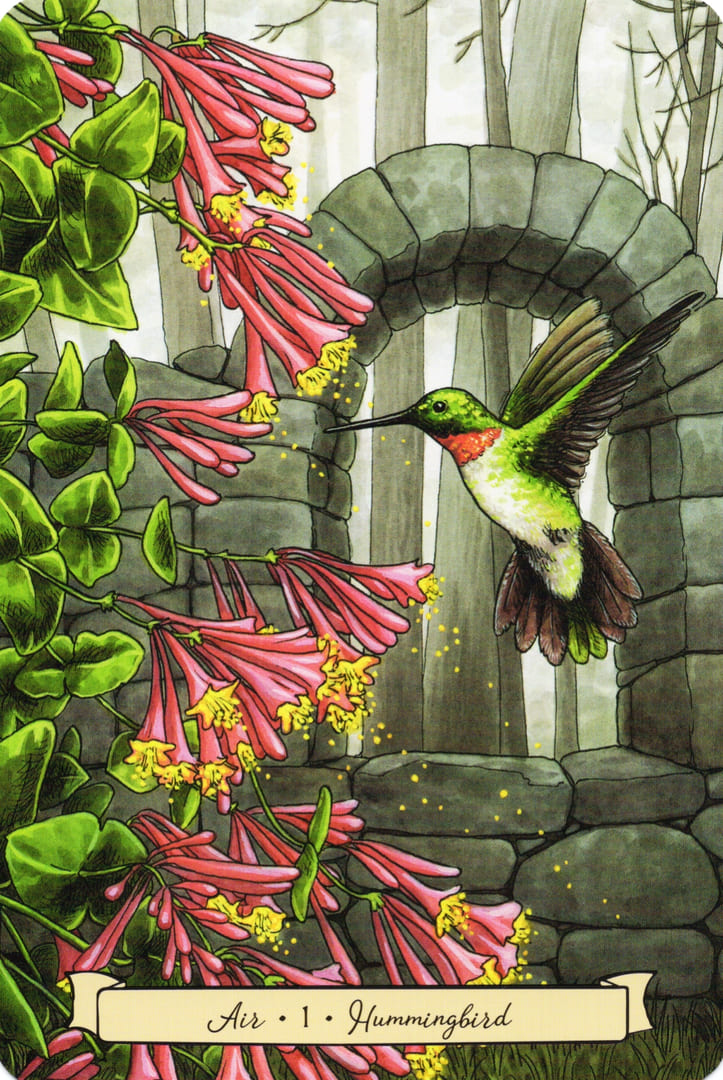 1 Hummingbird (Air) — Everyday Witch's Familiars Oracle