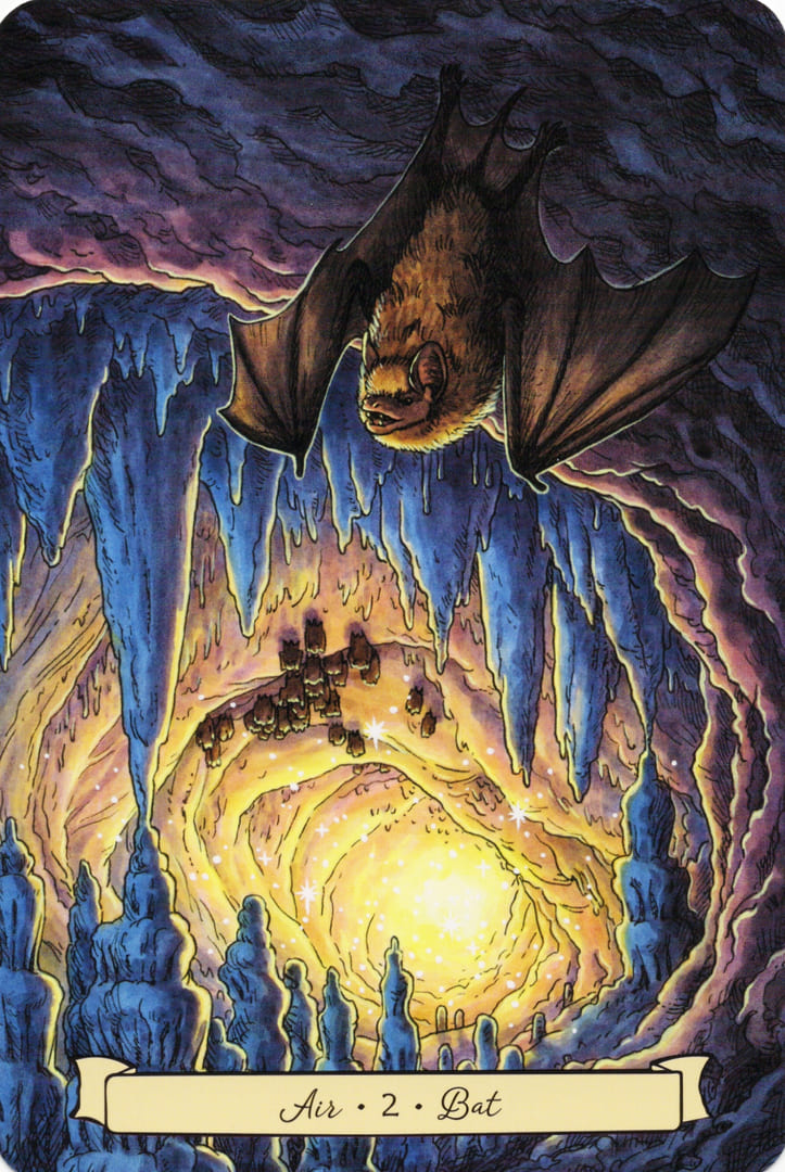 2 Bat (Air) — Everyday Witch's Familiars Oracle